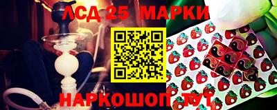 тгк Коммунар