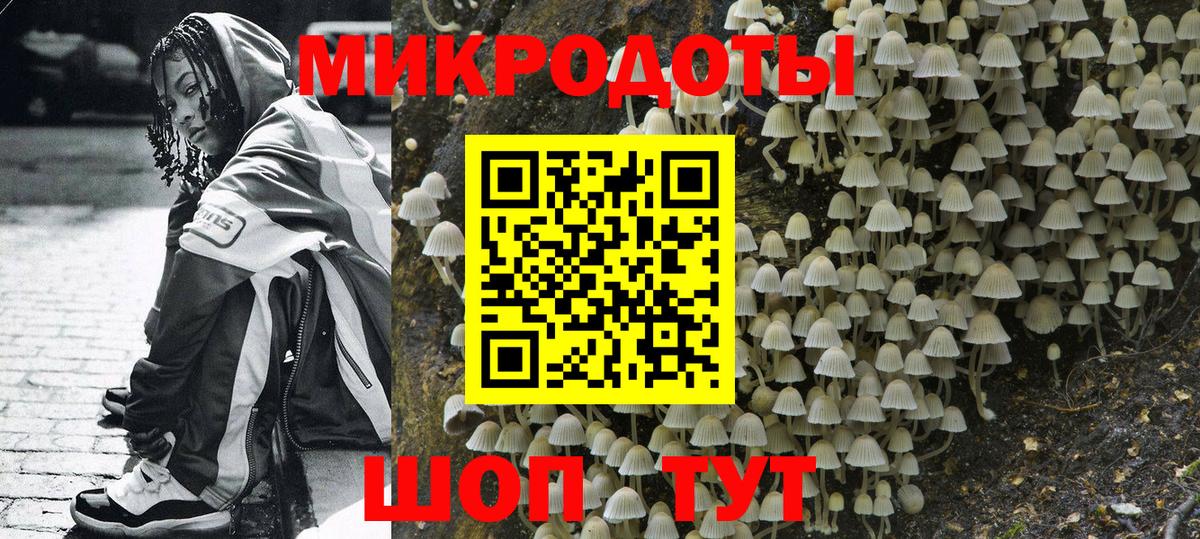 Псилоцибиновые грибы Psilocybine cubensis  закладка  Краснодар  Вход с VPN  Галлюциногенные грибы мухоморы 